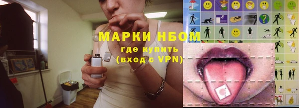 твердый Медногорск