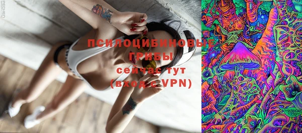трава Анжеро-Судженск