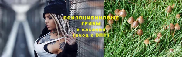 твердый Медногорск