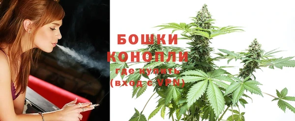 трава Анива