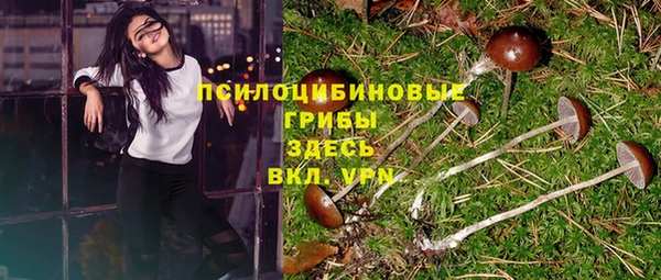 МДПВ Мегион