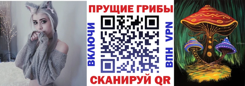 Купить закладки  Зеленодольск  Галлюциногенные грибы мухоморы 